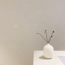 오아로피부과의원 이미지