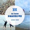 장위기사식당 개방화장실 | 해남 여행 4월의 땅끝송호해수욕장. 맨발로 담아온 해남땅끝마을의 고즈넉한 아침