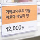 판다스토어
