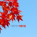 LK성형외과