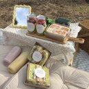 피크닉 | 부산피크닉 명지피크닉세트 대만족 후기 '푸르츠 피크닉'