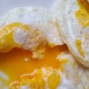 명가생태한마리 이미지