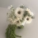 달플로르 | 본식 부케 위시리스트(ee4, 플라워바이닐, 무의무플라워, 화니플로르)