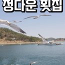팔도민박횟집