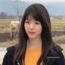 양은목장 이미지