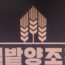 서울본족발
