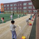삼향초등학교 이미지