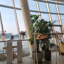 솔빛공원 2 | 반포 한강뷰 레스토랑 무드서울 내돈내산 솔직후기