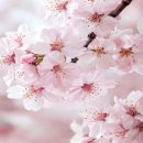 티에스 아이티 네이버블로그