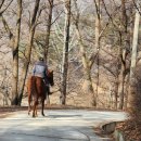 청송경로당 | [세종여행46] 비암사에서 민태절까지 세종 8산 대종주 산행 도전(비암산,수디산,금성산,작성산,이성산...