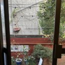 small but(스몰 벗) 이미지