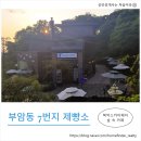 80 | 창덕궁 산책+북악스카이웨이 힐링 드라이브+부암동 7번지 제빵소 방문 후기