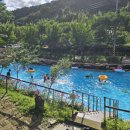 자두마을 이미지