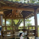 경남고성 스테이연 | 더운 여름 경남 고성 스테이연 독채 펜션에서 힐링 ✨