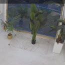 건이네 파충류 이미지