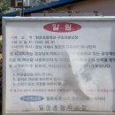 일운초등학교구조라분교장 네이버블로그
