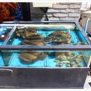 통큰소머리국밥 이미지