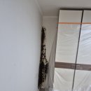 대림약품 | 노원중계동진로대림아파트 곰팡이제거와 벽한면도배 시공 후기