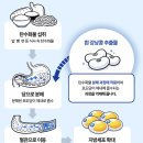 마음사랑허브다이어트 | 탄수화물컷팅제 치팅온 후기 ㅣ 탄수화물 앞에서 매번 무너지는 솜솜로그의 현실 루틴