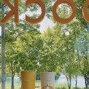 (주)라라곱떡 수성못본점 | 대구 수성구 수성못맛집 : 라라곱떡 - 오랜만에 만난 친구와! (feat. 수성못포켓, 핸즈커피)