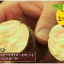 안면도농산 이미지