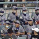은평구라온리틀야구단 이미지