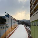 파인리조트 이미지