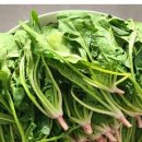 금메달농장 이미지