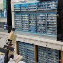 북구-14(금곡대로) 이미지