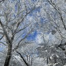 숙성도제주본점 이미지