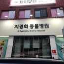 지경희동물병원 | 용호동 애견미용 잘하는곳 동물병원 미용실 소개