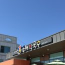 동해시-54 | 강원도 양양 맛집 [동해막국수] 수육 大, 비빔국수🍜 내돈내산 후기