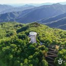 퇴계종택 앞 공중화장실 | [경상북도 예천군] 예천 사부리 소나무