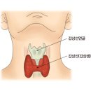 갑상선 암(서울아산병원, " 907번 감동적 좋은 글 등등에 포함" ) 이미지