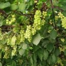 달림농장 이미지