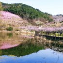 (주)복사꽃사람들 이미지