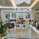 구피애견 이미지