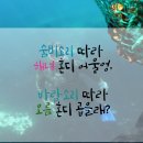 세화여행사 - 금정구 금정로 143-2 | 세화여행사
