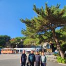 남파랑길 2,3 코스 후기 이미지