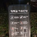 장안벚꽃길 | [장안동 맛집] 장안동 황톳길 / 장안벚꽃길 낭만있는 포장마차