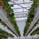 광주농장2 이미지