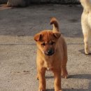 우리두리 이미지