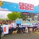 천동물병원 이미지