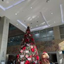 서울아산병원(동관) | 서울 아산병원 동관 정형외과 초진 진료 예약 방법 전화번호