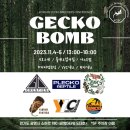 크레스티드게코 전문 쇼케이스, 게코밤 행사 최고의 현장 리뷰[GECKOBOME NO.1]