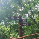 청화사 | [산] 청도 은왕봉 남산계곡 &amp; 낙대폭포 20230722 토