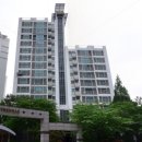 숭인로(남측) 티스토리