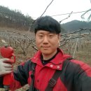 배순농장 이미지