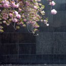 유엔기념공원주차장 이미지