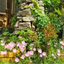 무주흙집풍경 이미지